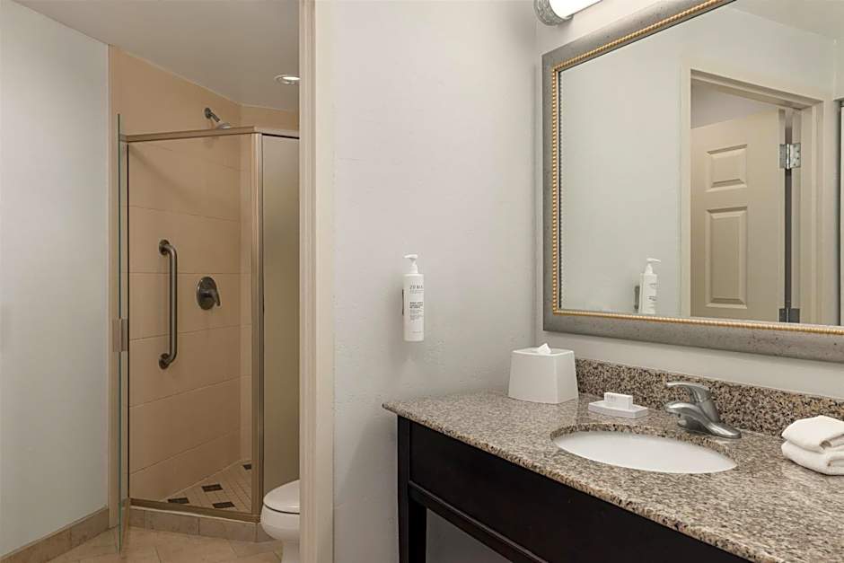 Hampton Inn By Hilton And Suites Baton Rouge