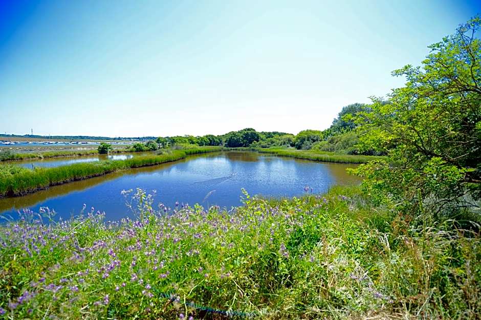 Pinkmead Estate and Vineyard