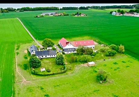 One-bedroom Loft Apartment
