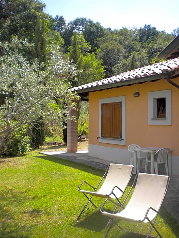 Il Poggio degli Olivi