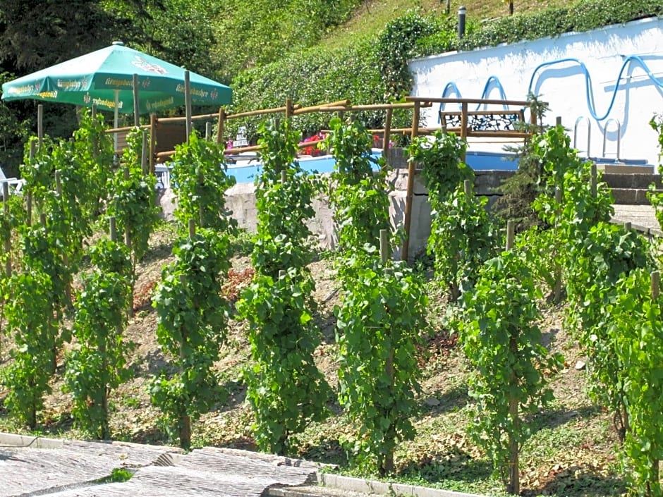 Landhotel Weinhaus Treis