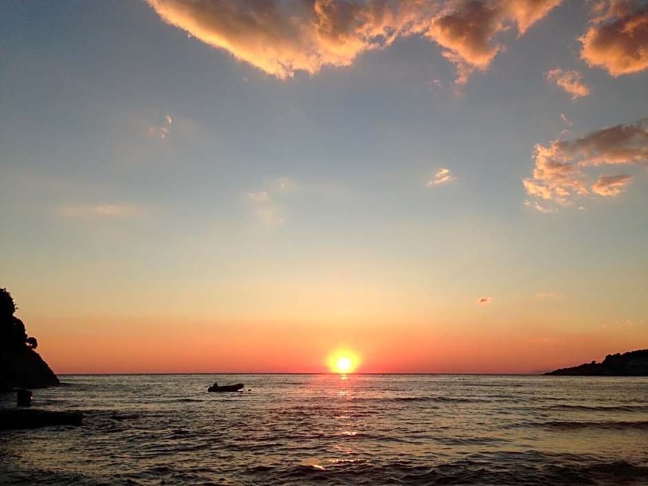 Casa Mila apartments & bungalows