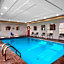 Spark by Hilton Minot