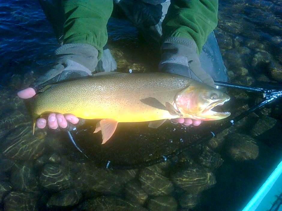 Spring Creek Ranch
