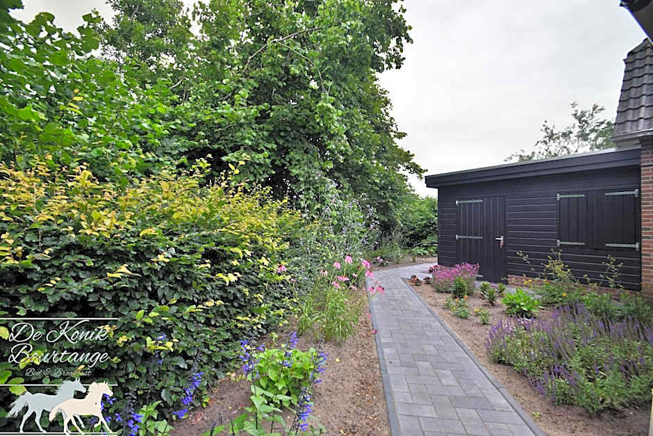 B&B De Konik Bourtange