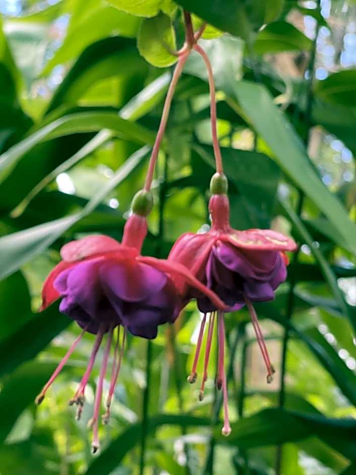 Tambaridge Bed & Breakfast