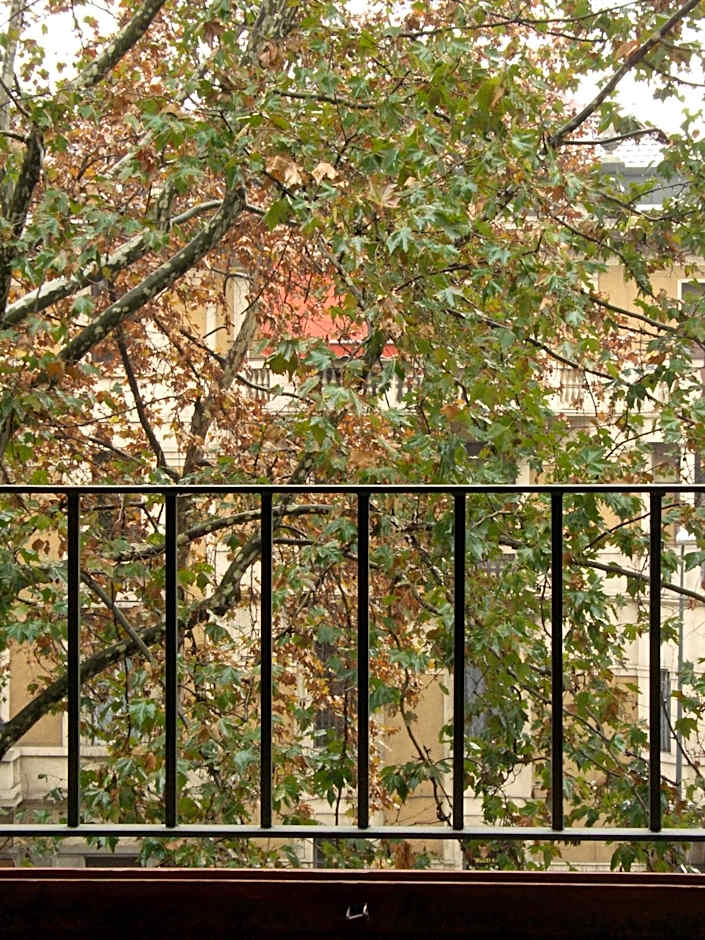 Residence Domus