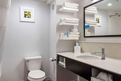 1 King Mobility Access With Tub Nonsmoking