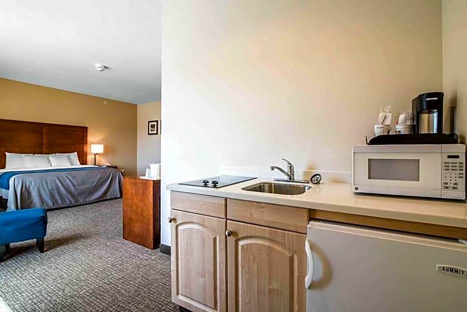 Comfort Inn Apalachin / Binghamton W Route 17