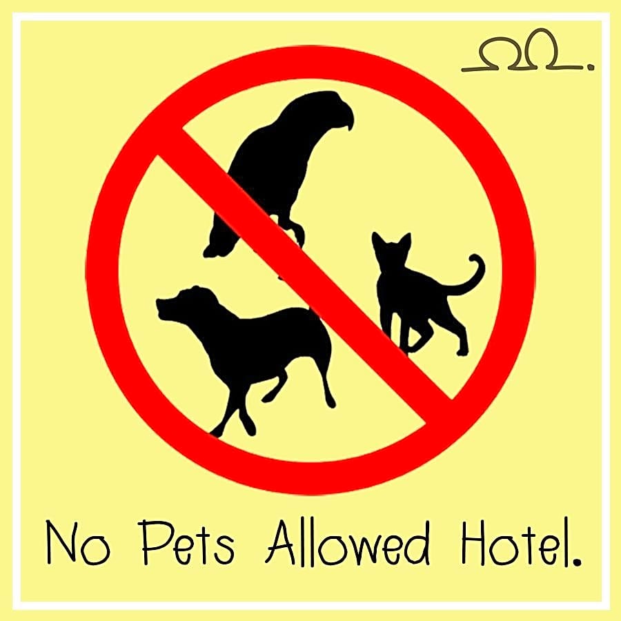 Double Ninth Friendly Boutique Hotel