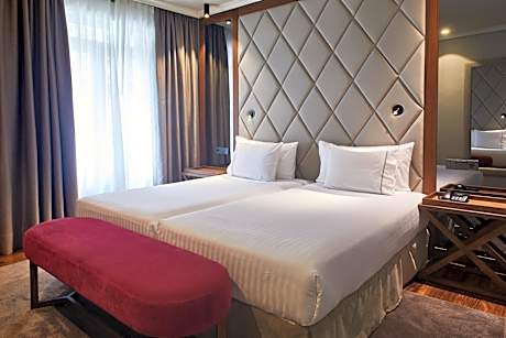 Triple Room with Terrace