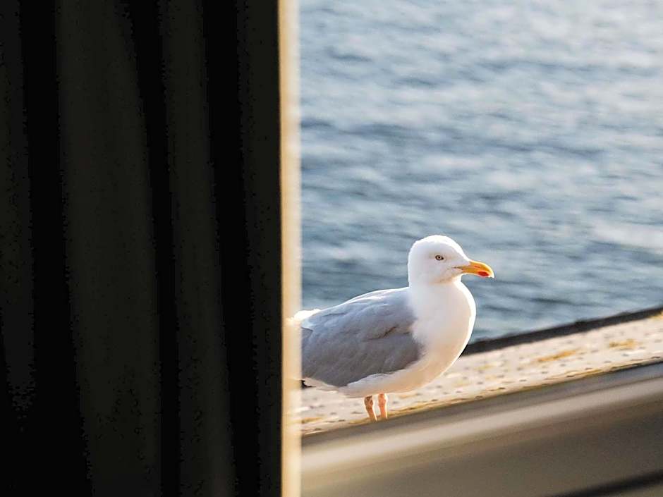 Hotel Mercure Roscoff Bord De Mer