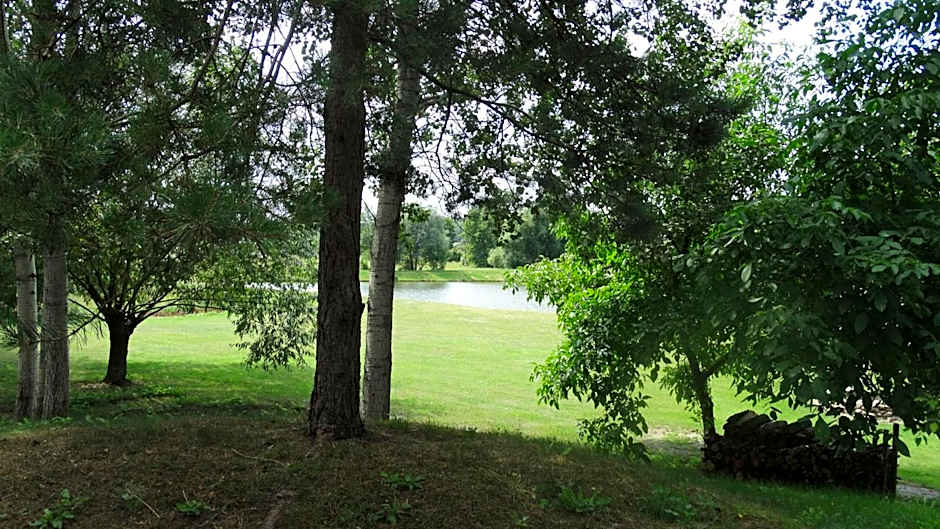 Tawerna-Stawiska