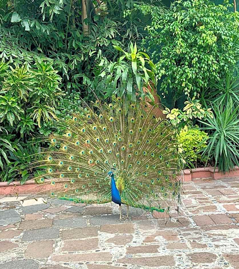 Hotel Boutique Casa de Campo