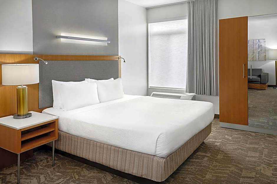 SpringHill Suites by Marriott Detroit Metro Airport Romulus