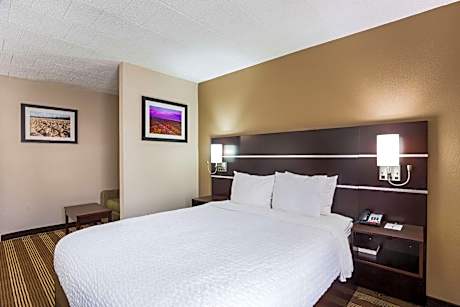 Standard Queen Room
