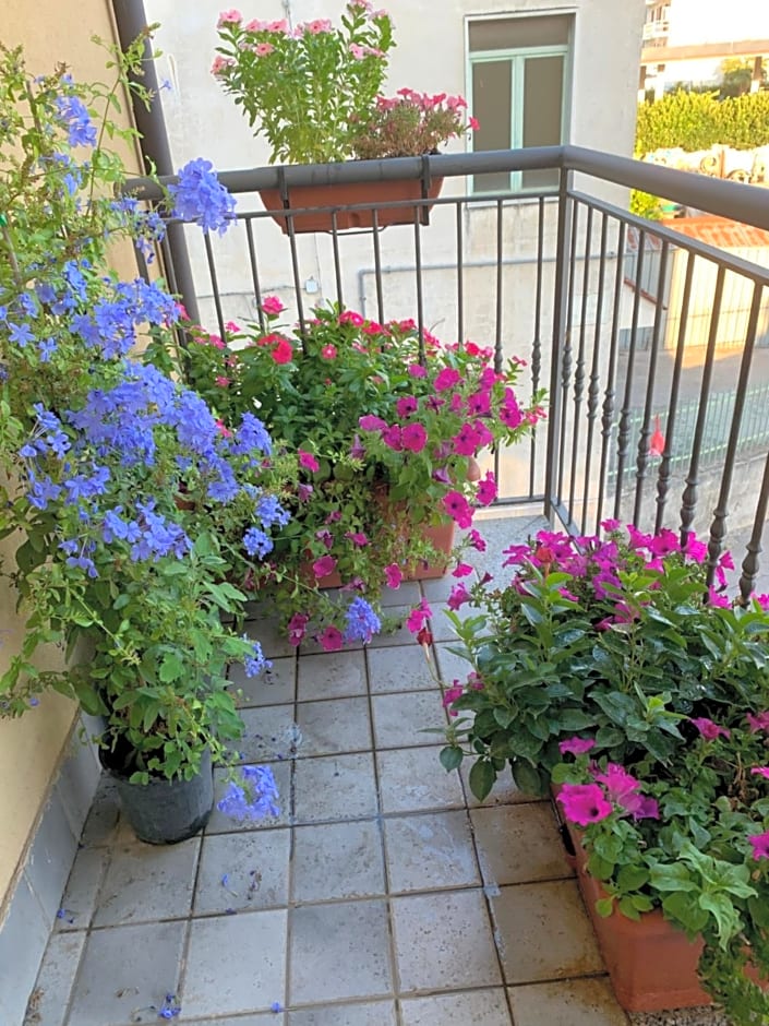 Residence San Pietro Book sharing