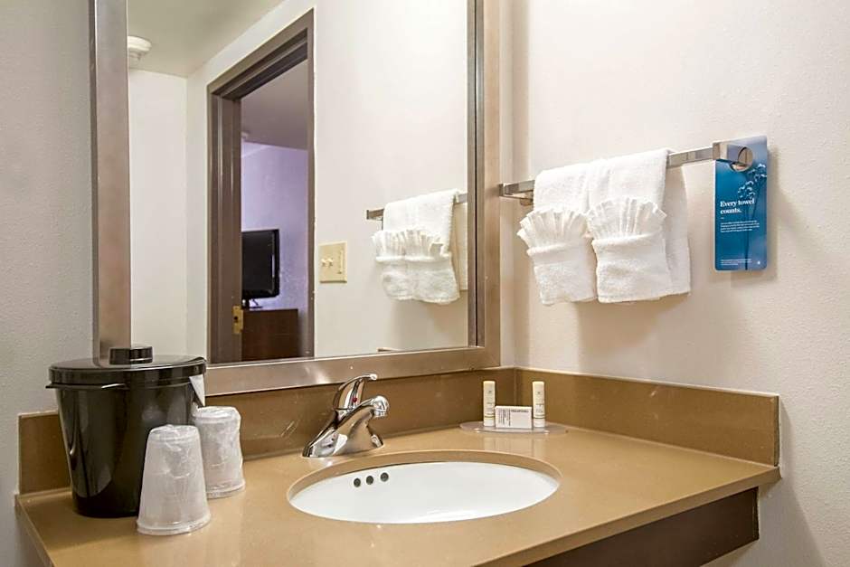 Fairfield Inn & Suites by Marriott Dallas Dfw Airport South/Irving