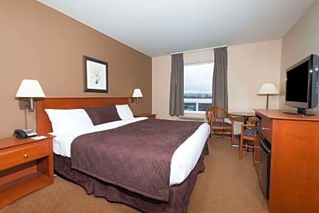 1 Queen Bed and 1 Bunk Bed Suite Non-Smoking