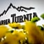 Czarna Turnia -ZAKOPANE