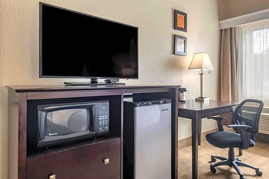 Comfort Inn & Suites DeLand - near University