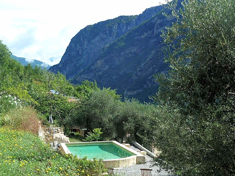 Le Mont d'Olivine