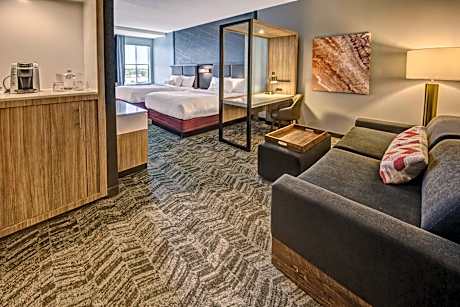 SpringHill Suites by Marriott Amarillo