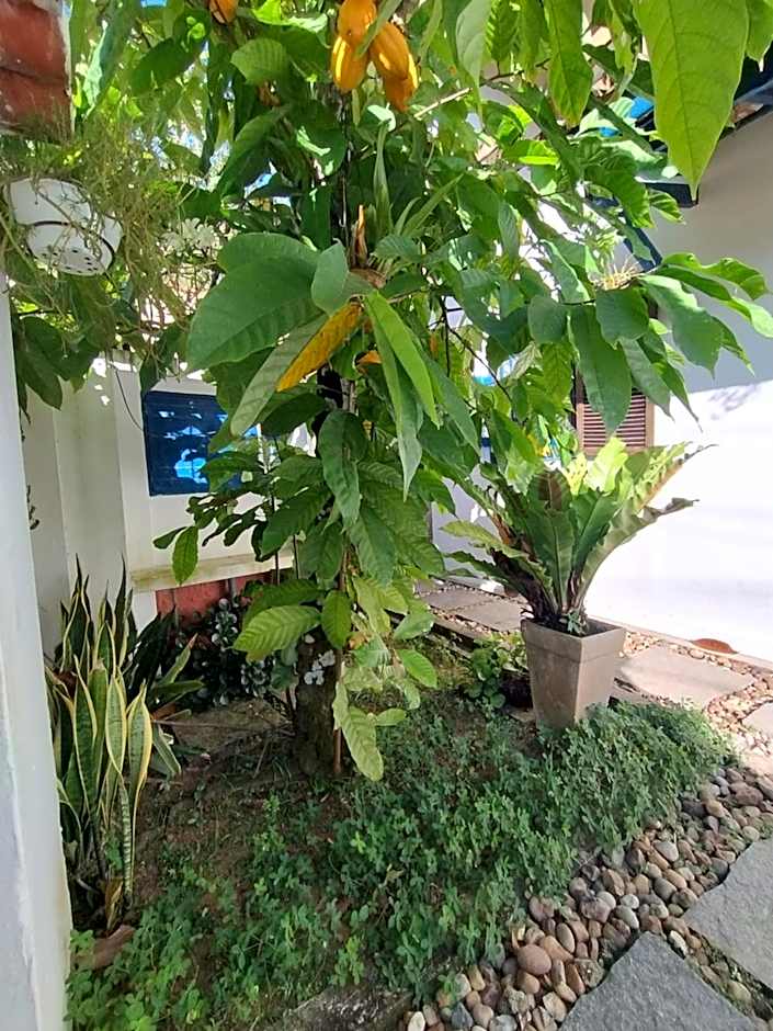 Quinta essência suites e chalés