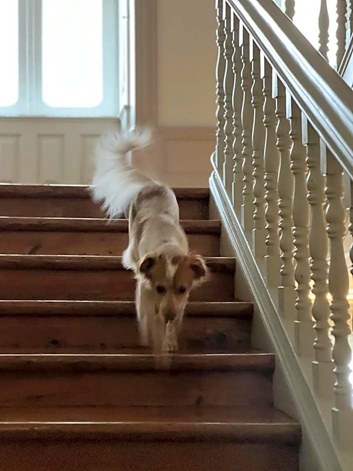 Serenata Hotel & Hostel Coimbra