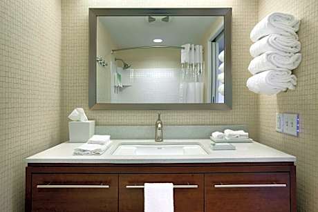 1 Queen Bed Studio Nonsmok