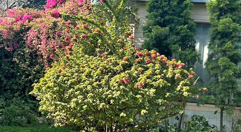 The Radha Ashok Hotel