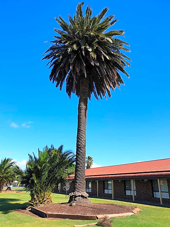 The Finley Palm Motor Inn