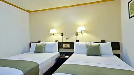 Dog Friendly Room