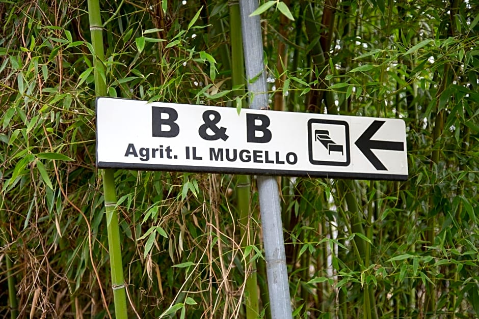 Il Mugello B&B