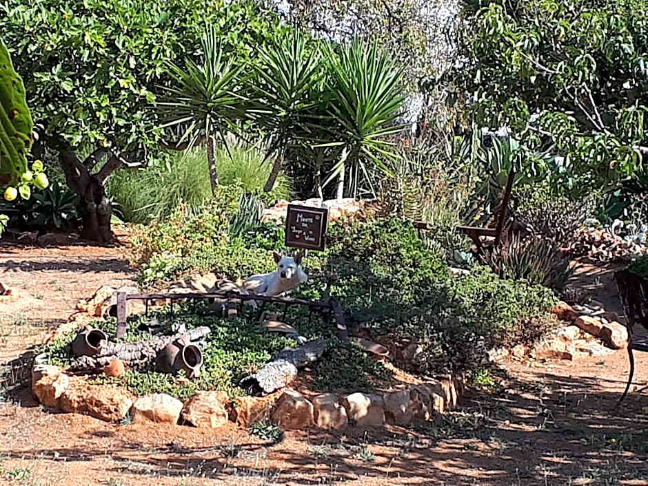 Retiro da Janela