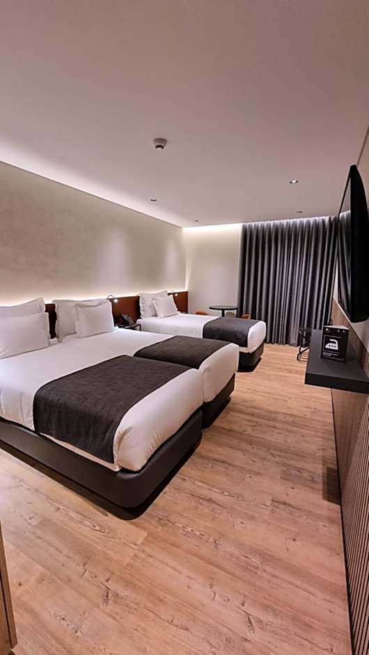 Hotel Principe Avila