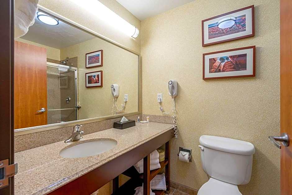 Comfort Inn And Suites Cedar City