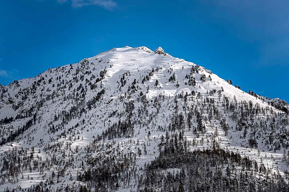 Le Chalet Blanc Hôtel & Spa