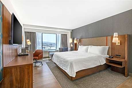 1 King Standard Minifridge High Floor