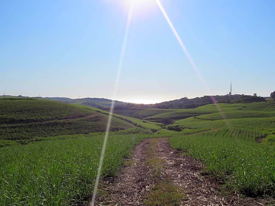 Bare Feet Retreat B&B