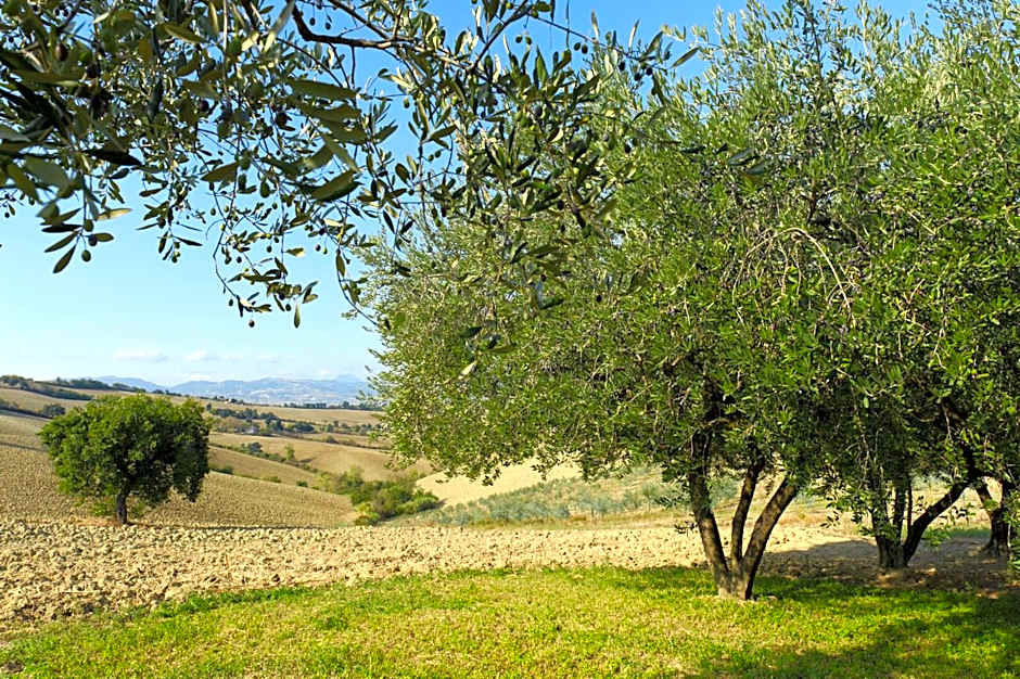 Relais Il Margarito