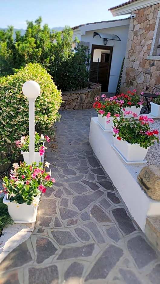 casa l'Ulivariu affittacamere