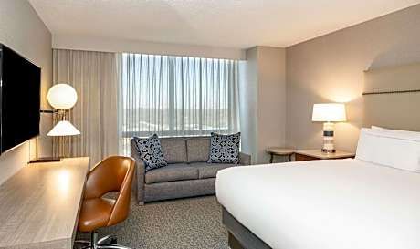 King Room with Sofa Bed
