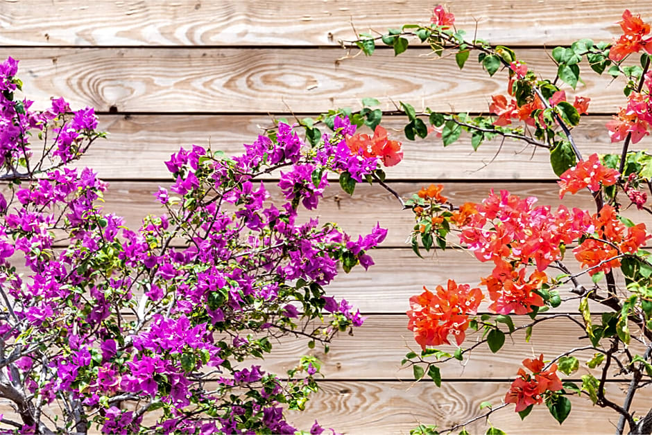 Grand Case Beach Club