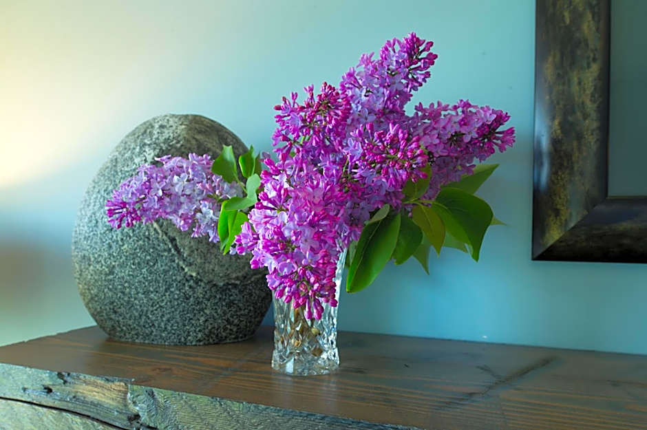 Waters Edge Shoreside Suites