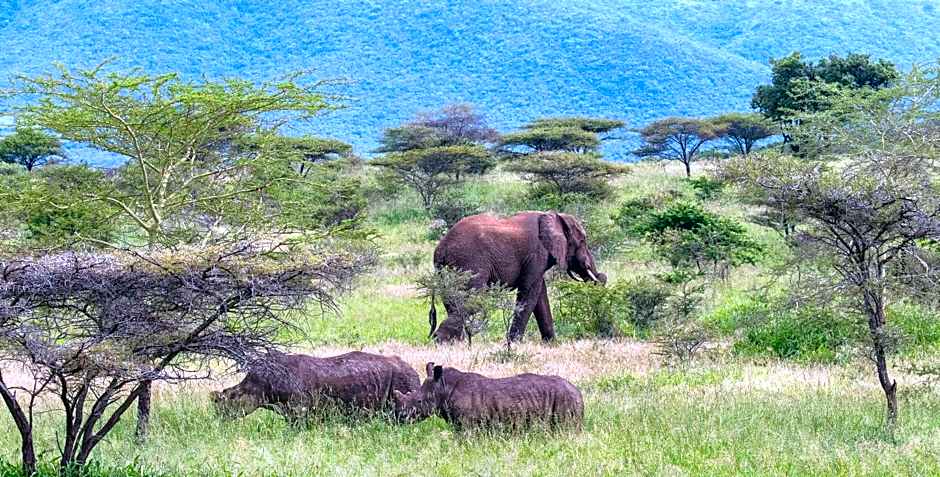 Sungulwane Private Game Lodge