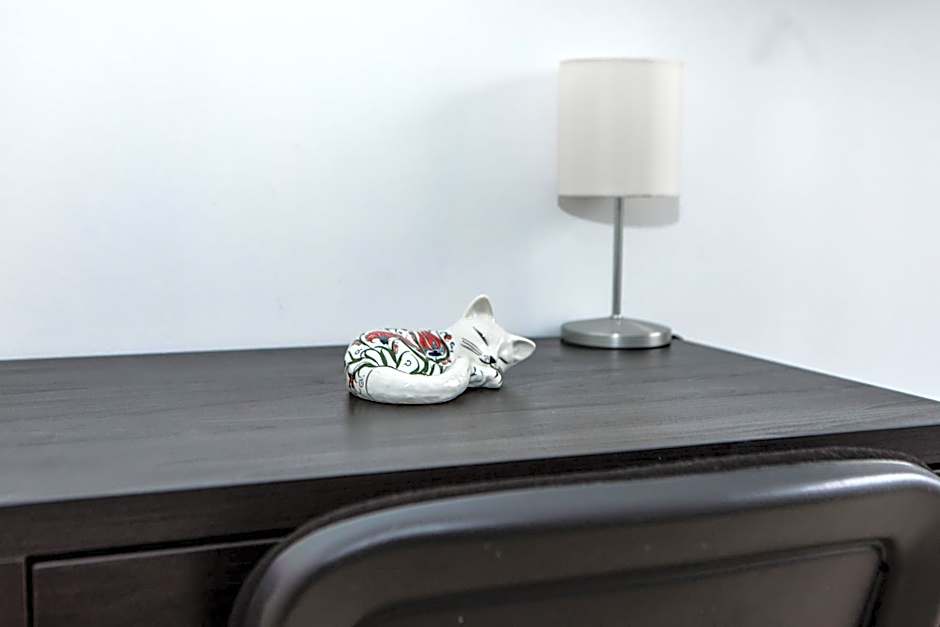 Veda elegant rooms