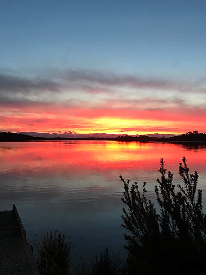 Wheelhouse Apartments