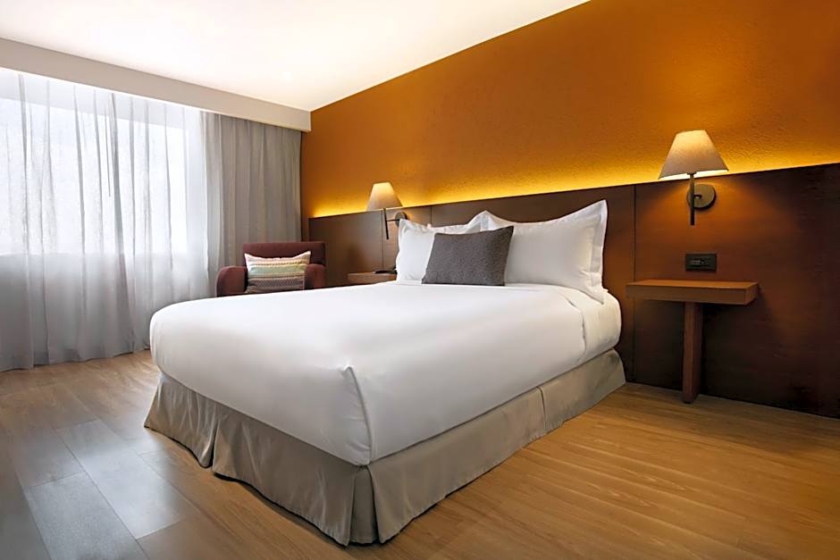 Camino Real Aeropuerto