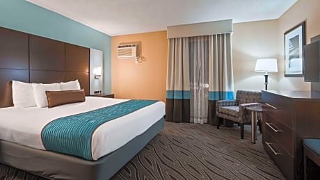 Suite-1 King Bed, Non-Smoking, High Speed Internet Access, Sofabed, Separate Living Area, Microwave 